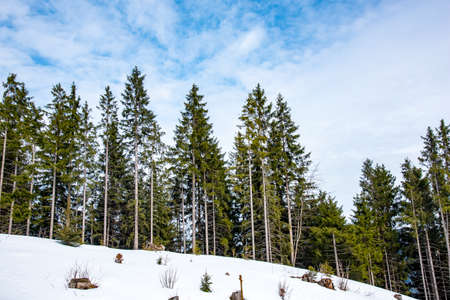 Mountain landscape in Germany in early spring