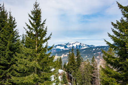Fantastic mountain forest landscape in Germany in early spring