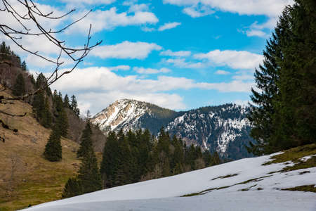 Amazing mountain landscape in Bavaria, Germany in springの写真素材