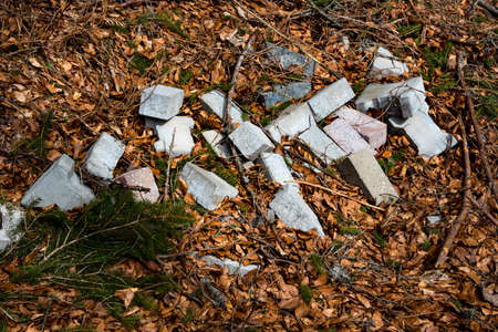 old bricks in the forest in Germanyの写真素材