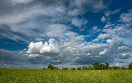 field on a background of the cloudy sky in Germanyの写真素材