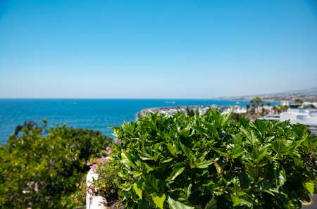Landscape view of grass sea and sky in Spainの写真素材