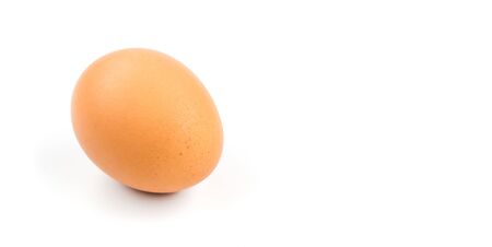 Brown egg Isolated on white background. Horizontal banner template.の写真素材