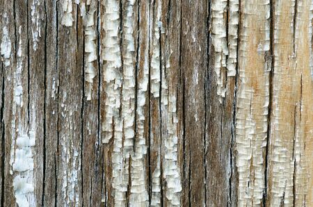 Old wooden board with peeling lacquer coating.の写真素材