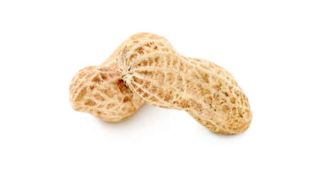 A pair of dried peanuts isolated on white background. Studio shot on white backgroundの写真素材