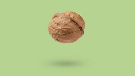 Single walnut isolated on light green background close-up.の写真素材