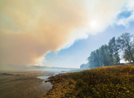 Forest fire near the river. A cloud of smoke covers the sky.の写真素材