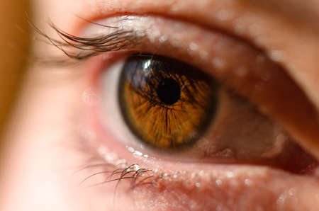 Very close macro photo of woman brown eye. Human eye close-up detail with shallow depth of field. Look away.の写真素材