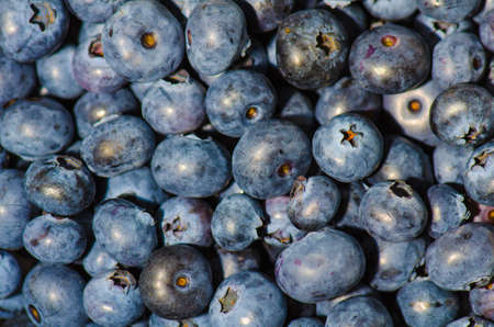 a bunch of fresh blueberries bilberries whortleberriesの写真素材