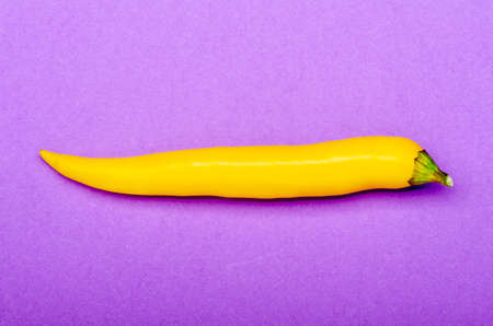 one yellow chili on a purple background