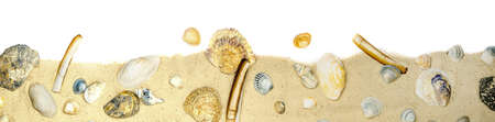 a collection of seashells with sand on white backgound for border or banner, panorama, isolated