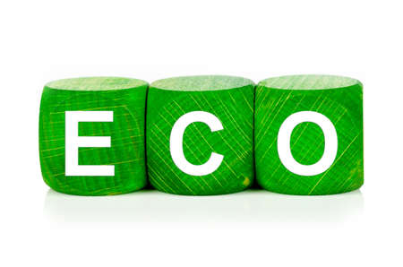 term eco - built from green wooden cubes on white background, isolated