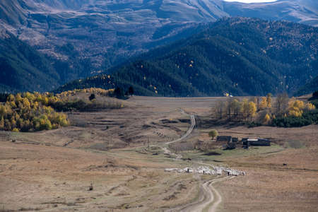 Caucasus, Georgia, Tusheti region, Omalo. A shepherd walking the cattle down the mountain from Omalo to Alvani for winterの写真素材