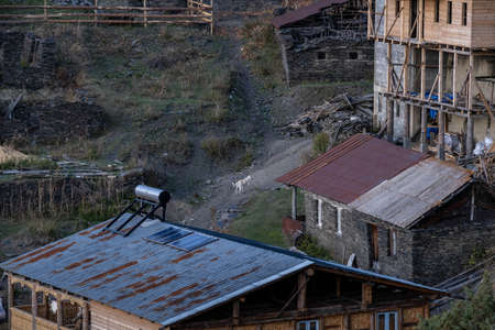 Caucasus, Georgia, Tusheti region, Omalo. A dog walks up a pathway in the village of Upper Omaloのeditorial素材