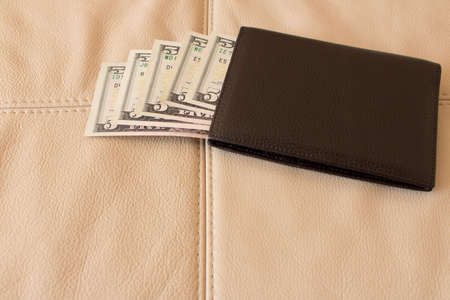 Brown leather wallet with dollars on the background of leather sofa