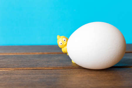 A big white chicken egg with a little yellow toy chicken の写真素材