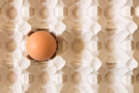 A large chicken egg in a cardboard box. Close up.の写真素材