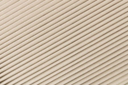 The texture of the new car air filter .の写真素材