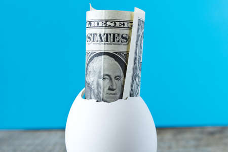 1 dollar bill in an egg shell. On a turquoise background. The concept of saving.