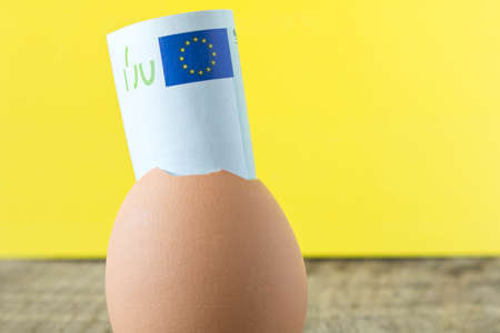 A 100 Euro bill in an eggshell. On yellow background. The concept of saving.の写真素材