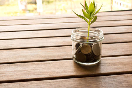 Green sprout of coins on a wooden table . The concept of saving money.の写真素材