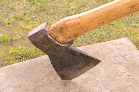 An old axe in an oak log. Close up.