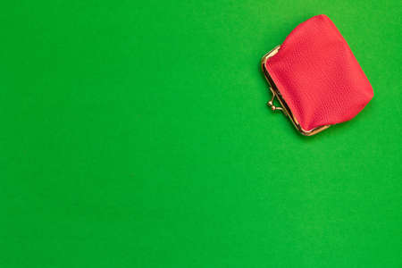 Pink wallet green background . Saving concept.の写真素材
