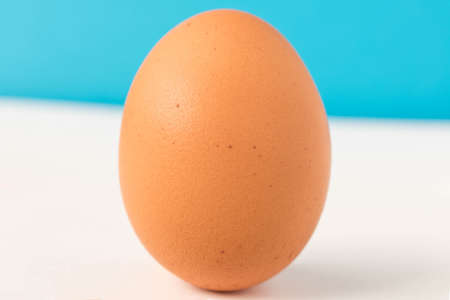 Chicken egg on blue white background. Close upの写真素材