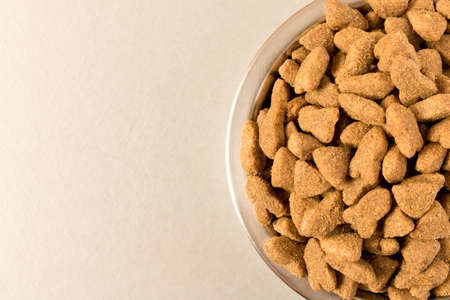 Bowl with dog food on a light background. Close up