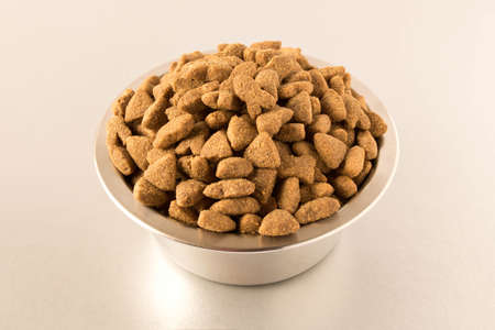 Bowl with dog food on a light background . Close up