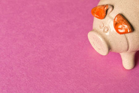 Piggy Bank on the purple background. Close up. The concept of saving money. Selective focusの写真素材