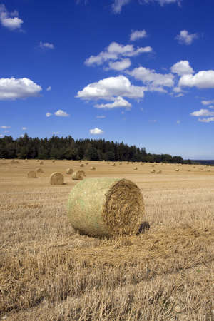 Hay bales on the field iin the Czech Republic