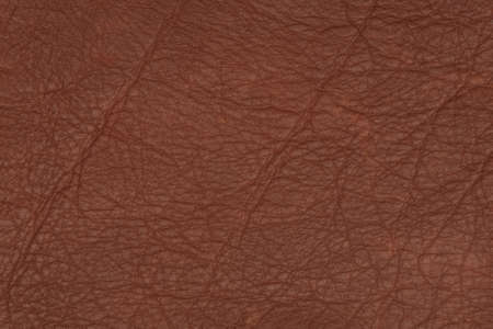 Natural brown leather surfaceの写真素材