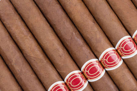 Close-up of luxury Cuban cigarsの写真素材