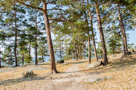 Picturesque places of Kazakhstan, Borovoe village, with its unique lakes and forests!の写真素材