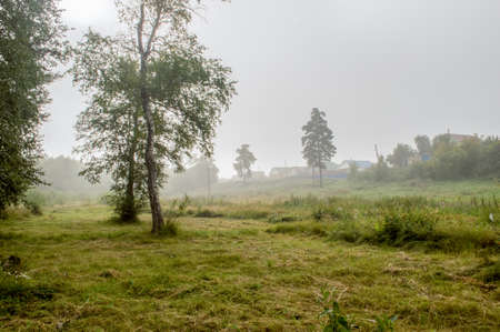 Picturesque places of Kazakhstan, Schuchinsk city, with its unique lake and forest!の写真素材
