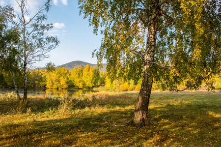 Picturesque places of Kazakhstan, Schuchinsk city, with its unique lake and forest!の写真素材