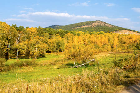 Picturesque places of Kazakhstan, Schuchinsk city, with its unique lake and forest!の写真素材
