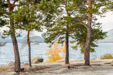 Picturesque places of Kazakhstan, Borovoe village, with its unique lakes and forests!の写真素材