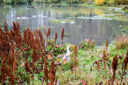 Picturesque places of Kazakhstan, Schuchinsk city, with its unique lake and forest!の写真素材