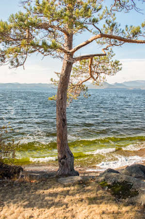 Picturesque places of Kazakhstan, Borovoe village, with its unique lakes and forests!の写真素材