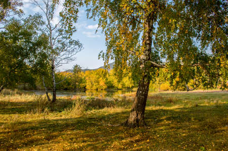 Picturesque places of Kazakhstan, Schuchinsk city, with its unique lake and forest!の写真素材