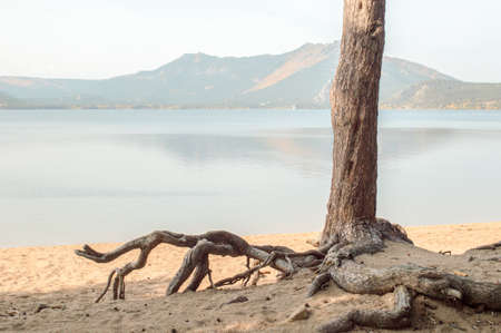 Picturesque places of Kazakhstan, Borovoe village, with its unique lakes and forests!の写真素材