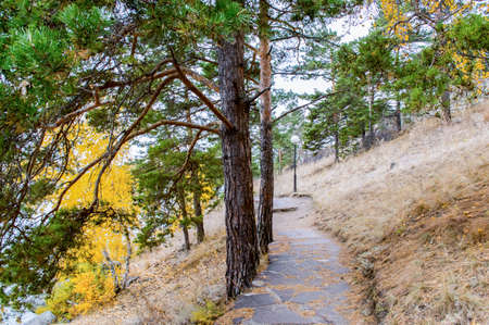 Picturesque places of Kazakhstan, Borovoe village, with its unique lakes and forests!の写真素材