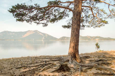 Picturesque places of Kazakhstan, Borovoe village, with its unique lakes and forests!の写真素材