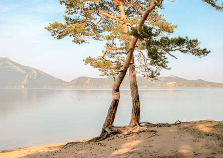 Picturesque places of Kazakhstan, Borovoe village, with its unique lakes and forests!の写真素材