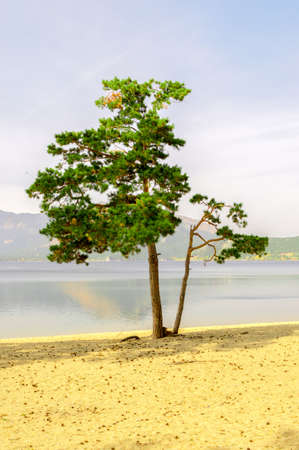 Picturesque places of Kazakhstan, Borovoe village, with its unique lakes and forests!の写真素材