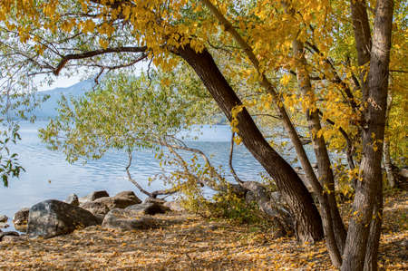 Picturesque places of Kazakhstan, Borovoe village, with its unique lakes and forests!の写真素材