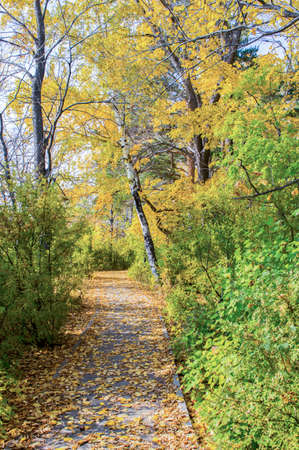 Picturesque places of Kazakhstan, Borovoe village, with its unique lakes and forests!の写真素材