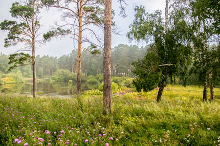 Picturesque places of Kazakhstan, Schuchinsk city, with its unique lake and forest!の写真素材
